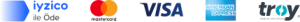 logo-band@1X-300×22-1-1